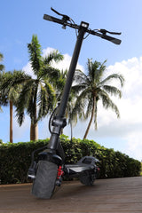 WideWheel PRO