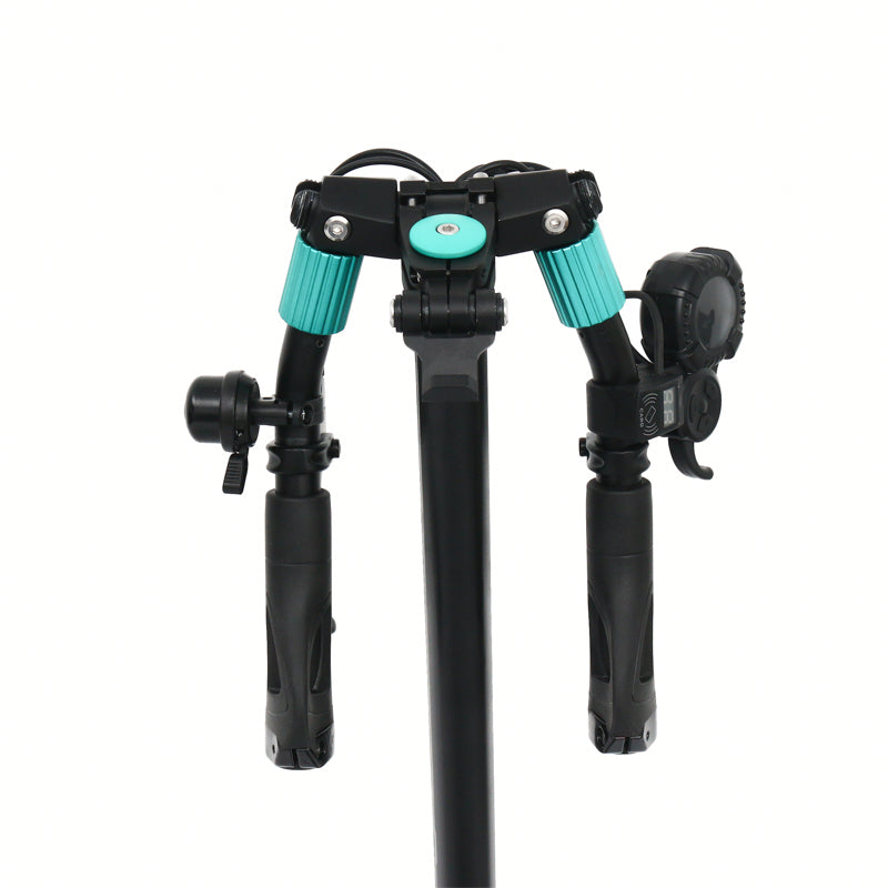 VSETT 9+ Electric Scooter